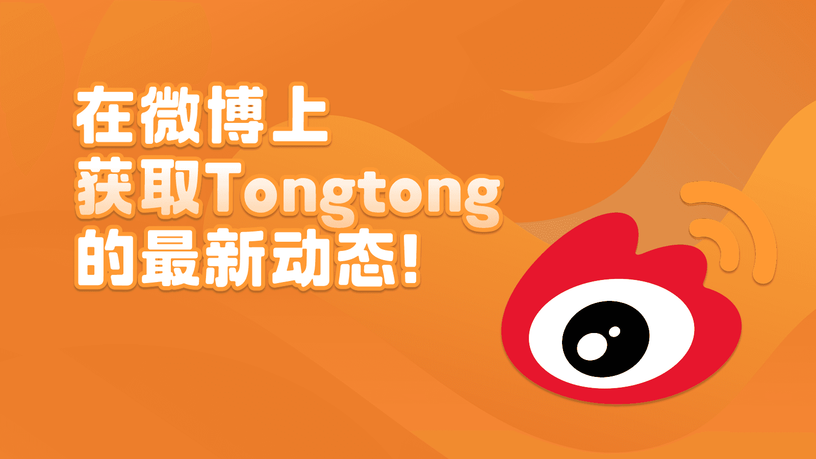 tongtong2